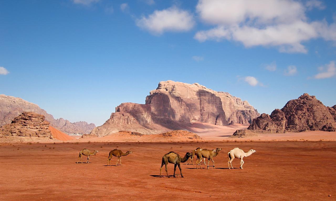 Wadi Rum Moon Light Camp ภายนอก รูปภาพ
