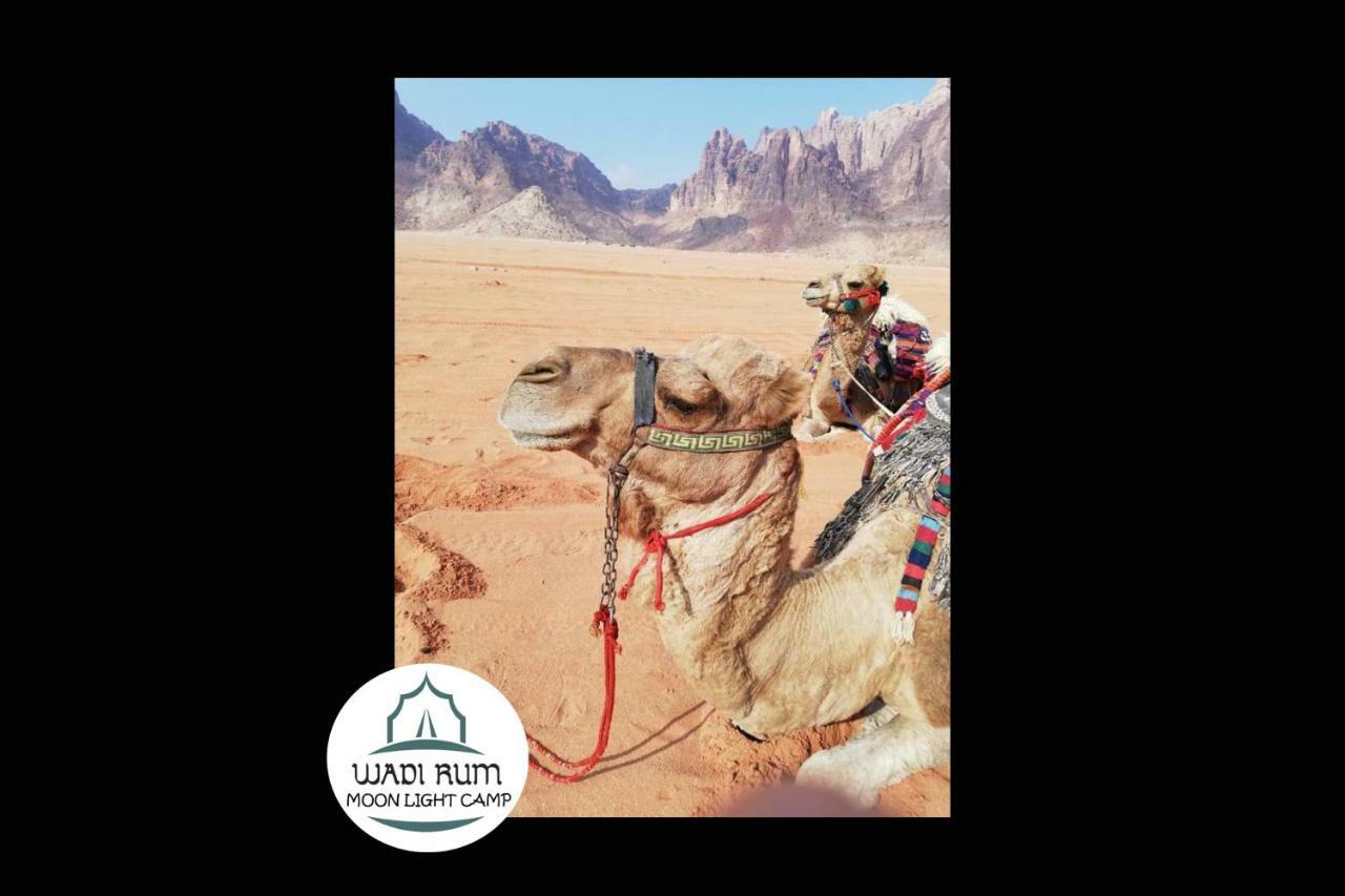 Wadi Rum Moon Light Camp ภายนอก รูปภาพ